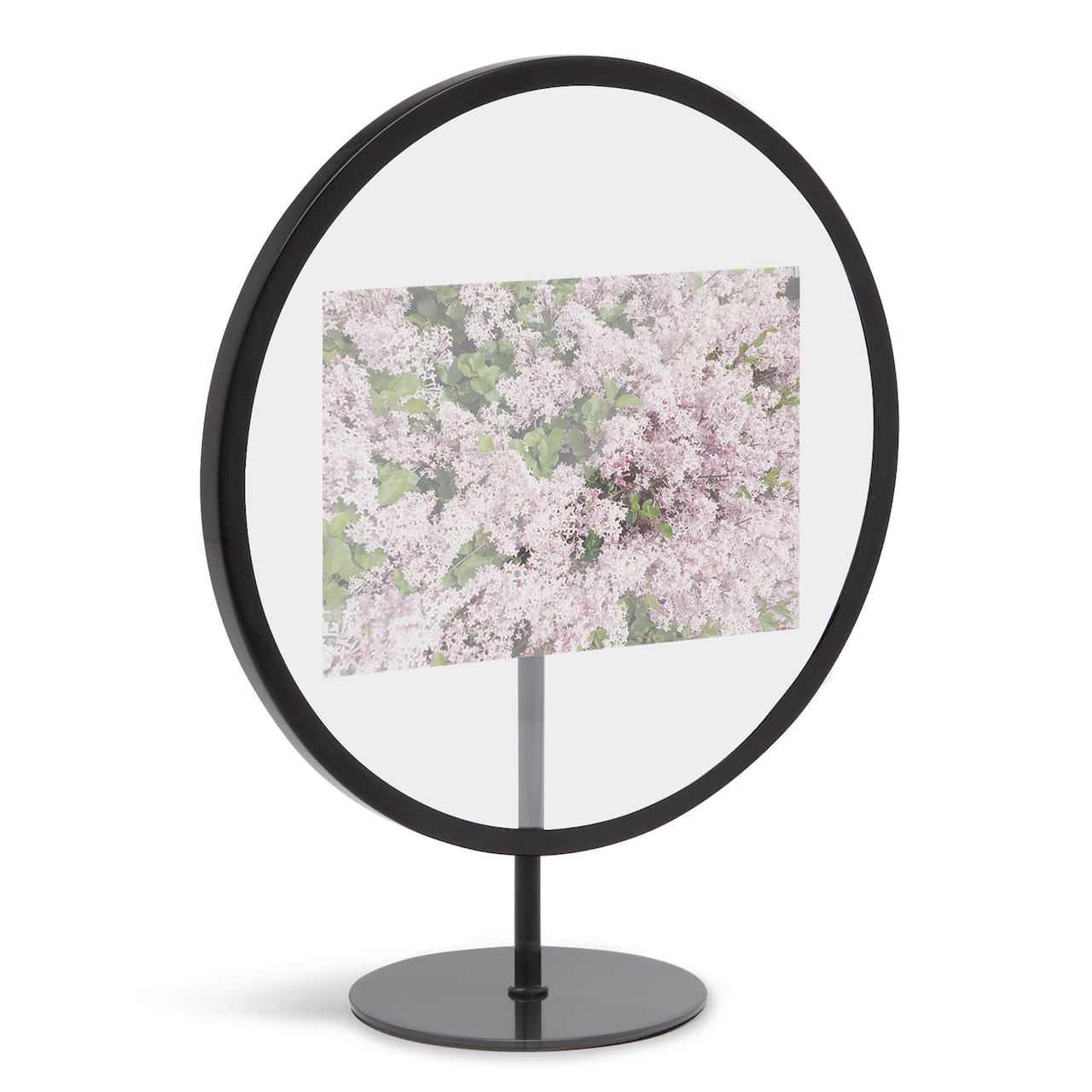 Umbra Black Infinity Round 4" X 6" Picture Frame
